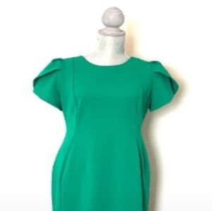 NWT Green Calvin Klein Ruffle Hem Dress with Short Sleeves